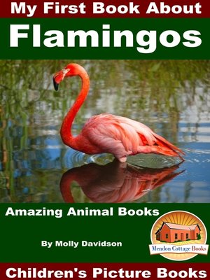cover image of My First Book About Flamingos